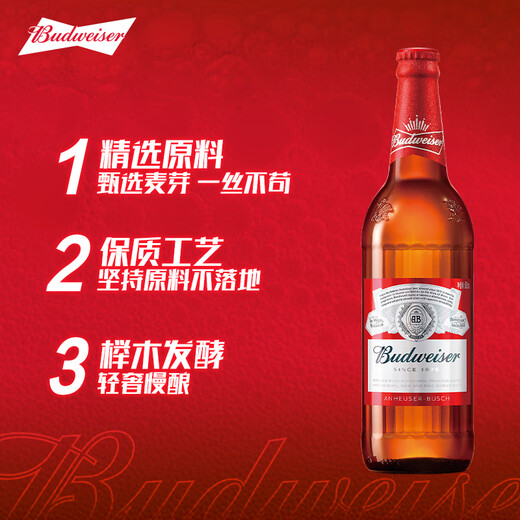 百威拉格啤酒经典600ml*12瓶啤酒整箱装 