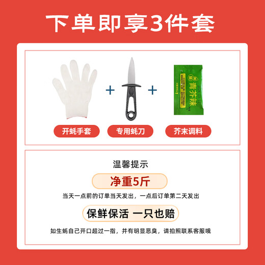 Fresh Jingcai Fresh Oysters 3XL Net weight 5Jin Jin is equal to 0.5kg 13-18 pieces Fresh to your home Fresh seafood Straight from the source