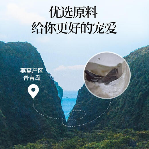 Blumarine泰国75ml*12冰糖4%进口即食燕窝伴手礼孕妇孕期坐月子传统滋补 4%冰糖款75ml*12瓶【2盒】