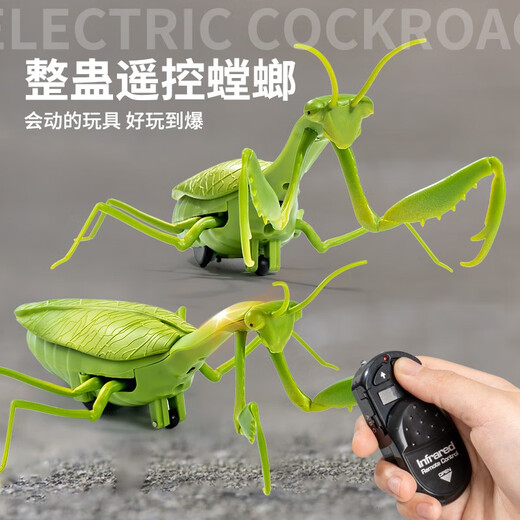 Qisen Fernbedienung Mantis Elektrische Simulation Kinderspielzeug Streich kreativer Artefakt Kakerlake 3 Jungen können Krabbeltiere Fernbedienungskontrolle Lady Käfer Red 9922+ Schraubendreher Offizieller Standard bewegen