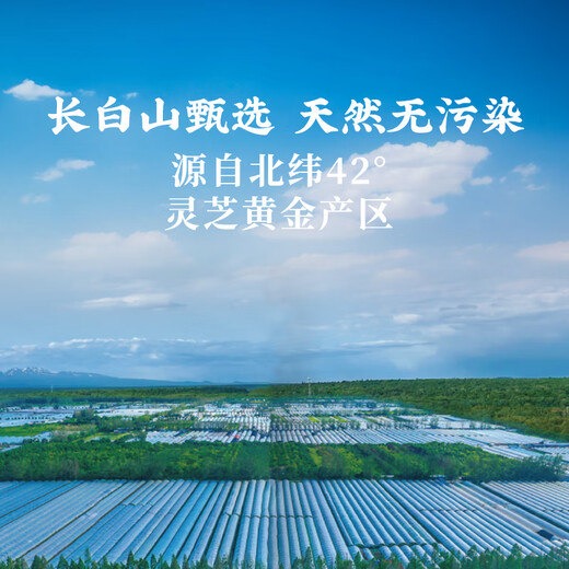 仙祉谷 有机破壁灵芝孢子粉200g(50g*4) 长白山孢子粉中老年病后体虚体弱多病食欲不振 礼盒装200g