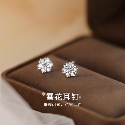 Warme Farben Commuting Intellectual Snowflake Silver Needle Earrings Feminine Student Simple Sleeping No-Pick Earrings Valentine's Day Gift Snowflake Earrings