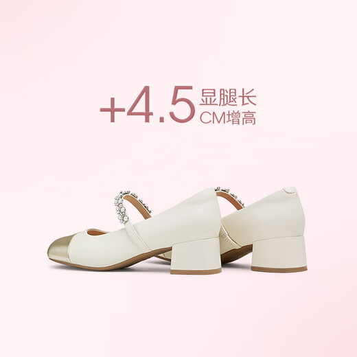 Tianmeiyi Chaussures Chaussures pour femmes Mall Talon épais Français rétro Single chaussures Mary Zhen Shoes Spring and Automn Style BJ761CQ4 Silver 36