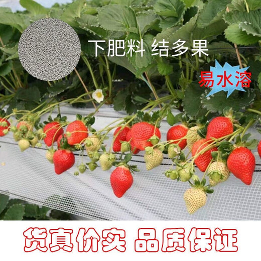 Yara Norway Yara Compound Fertilizer Organic Fertilizer Fruit Tree Flower Potted Seedlings Vegetable Plants Universal Comprehensive Nutritional Fertilizer 10Jin Jin equals 0.5kg