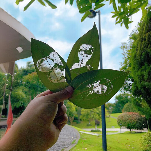 山迪树叶雕刻定制照片生日礼物送女友老婆男生一周年纪念日叶雕摆件 梧桐叶-8寸灯光相框(可代写贺卡)