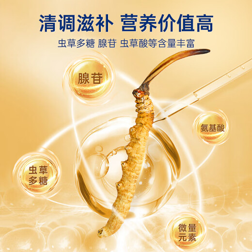 紫蓝花海3-4根/g 1g  冬虫夏草高品质虫草滋补品尝鲜【健康礼盒】