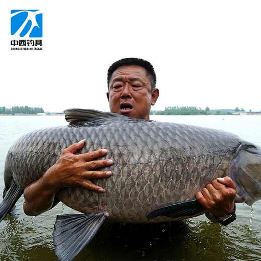 Chinese and Western fishing line, main line, nylon line, large size fishing line, throwing fishing line, fishing line, designated fishing line in China, road system 2.0/100 meters