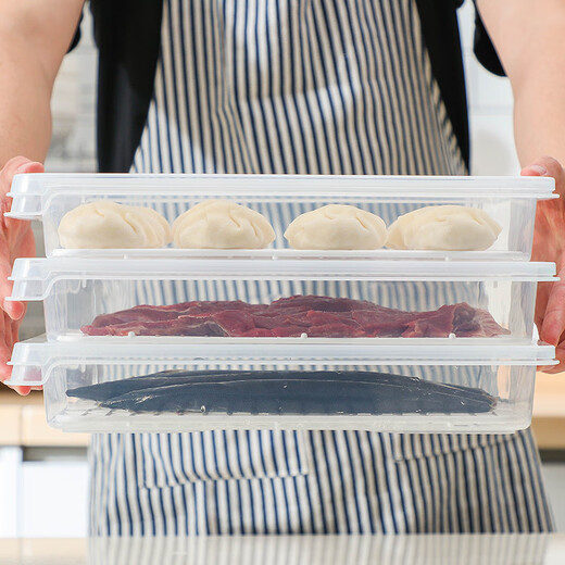 Home Story Dumpling Box Food Grade Freezer Box Refrigerator Storage Fresh Box Household Food Storage Box Refrigeration and Drainage with Partition Pack of Three 1 Layer