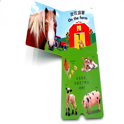 DK Baby Toy Book Kenntliche Tiere
