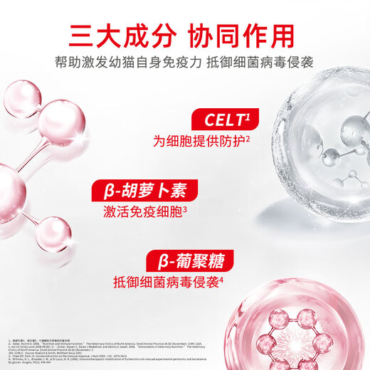 Royal Pet Cat Food Kitten Cat Food K36-Suitable for 12 months old 50g