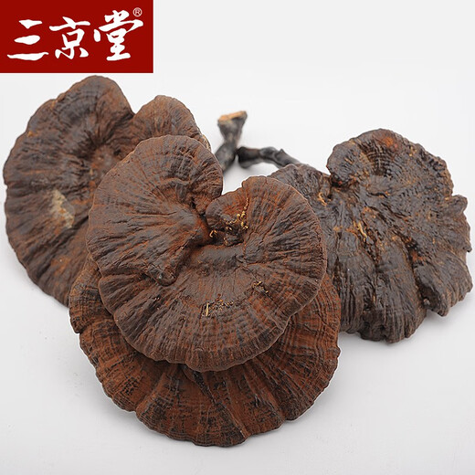 三京堂野生黑灵芝整枝 长白山紫灵芝片林芝茶可搭灵芝 250g【精选大枝 带灵芝孢子粉】 黑灵芝
