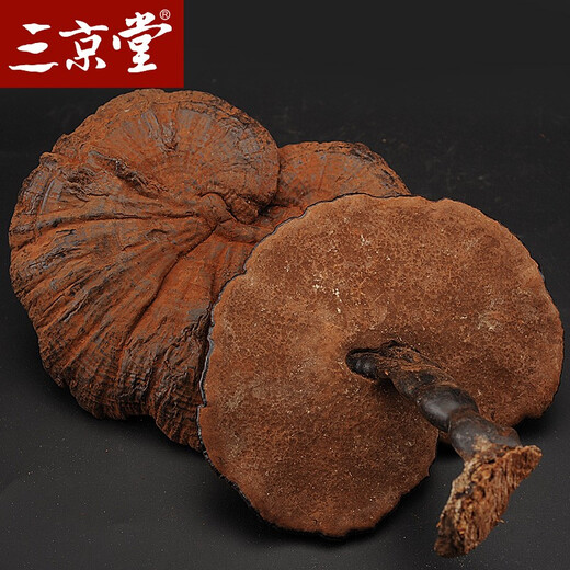 三京堂野生黑灵芝整枝 长白山紫灵芝片林芝茶可搭灵芝 250g【精选大枝 带灵芝孢子粉】 黑灵芝