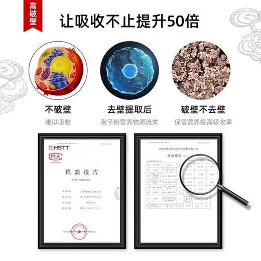 大晟破壁灵芝孢子粉2g*90包囤货装 孢子油丰富 增强免疫力 送爱人礼物