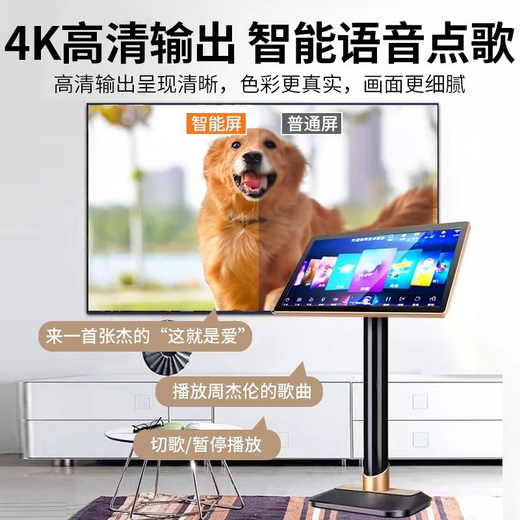 HYUNDAI modern home theater ktv audio set computer TV living room home k song karaoke full set of professional amplifier speaker equipment [hot sale] 10-inch song tuning machine set