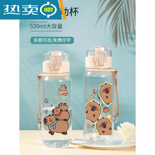 Wasserkocher kleiner Capybara-Wasserbecher Karte Furzbecher Student tragbarer Sommer große Kapazität 530 ml R3271 Capybara-Kunststoff-Trinkbecher-