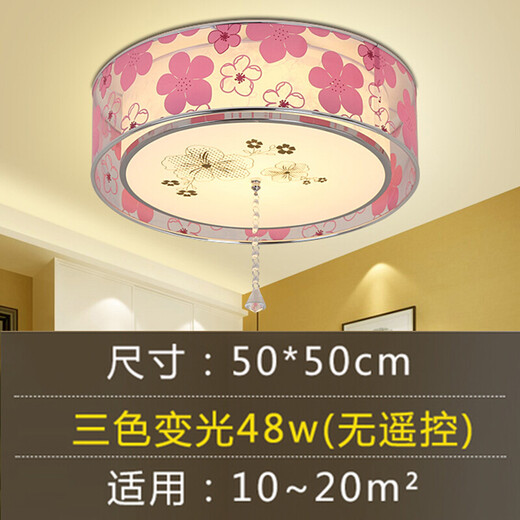 泰士隆卧室灯 led房间灯客厅灯浪漫温馨简约现代唯美婚房灯饰灯具吸顶灯 5024W 21无极50*