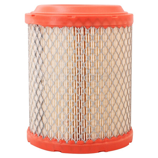 
MANN FILTER (MANNFILTER) filter air filter air filter element air grid C14110 Coolbo Compass Free Guest