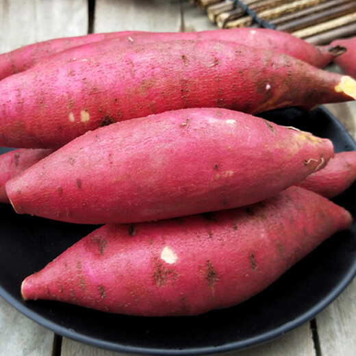 Sugared Chestnut Sweet Potato 600g