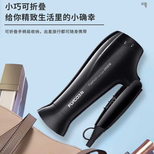 博锐飞科吹风机家用大功率速干折叠电吹风学生宿舍发廊男士专用吹风筒 FH6296绿色1800W