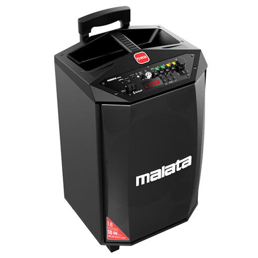 Malata (Malata) M+9015C outdoor speaker pull rod electric acoustic guitar bass folk singing instrument speaker subwoofer square dance microphone outdoor speaker 8 inches L8