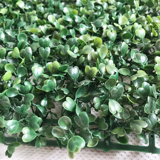 Win the show, simulated plant wall, green plant wall background wall, green simulated plant mall advertising door head artificial decoration, encrypted Milan grass 40*60CM piece