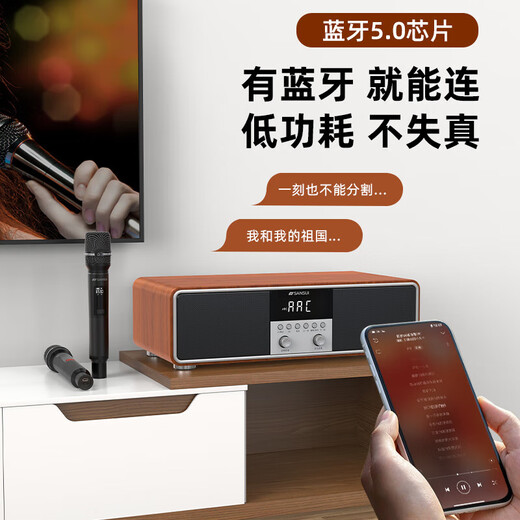 Shanshui T76S upgraded version of family ktv audio set 2025 new karaoke amplifier audio all-in-one T76 desktop karaoke audio home TV wireless Bluetooth speaker Shanshui T76S [without system]