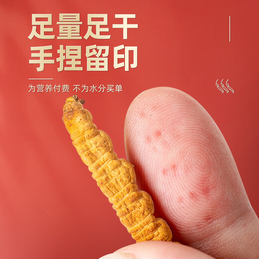 渭水鸿 冬虫夏草礼盒3根/克30管父亲节送父母长辈亲戚见家长实用礼物