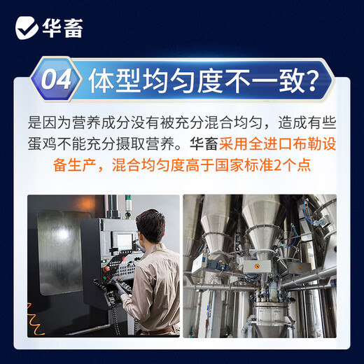 Huazhu 5% laying hen premix, chicken feed during egg production peak period, egg production period feed, reserve chicken early stage compound premix, laying hen premix, whole ton as low as 95/bag