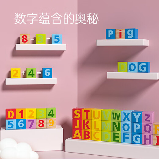 Hape(德国)进口山毛榉木质玩具80粒数字字母积木宝宝生日礼物E8022