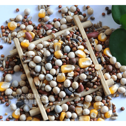 Pigeon food without corn pigeon food wholesale pigeon food racing pigeon nutritional food pigeon food young pigeon meat pigeon old pigeon pigeon food pigeon food with corn 5Jin Jin is equal to 0.5 kg
