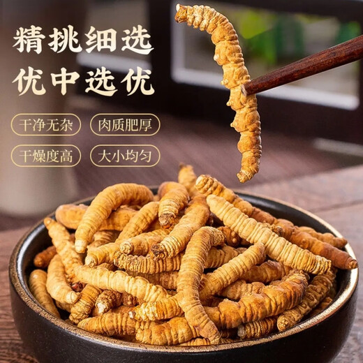 冬虫夏草（支持质检）藏区雪域虫草断草整肉纯肉节冬虫夏草干断草 冬虫夏草纯肉节30克送4克 提高免疫力