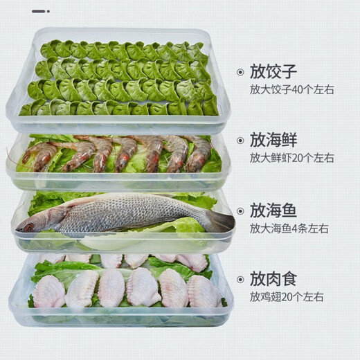 Dumpling storage box, refrigerator crisper, freezer tray for frozen dumplings, multi-layer quick-frozen fresh-keeping box, dumpling box, household dumpling freezing box, wonton box, quick-frozen food storage box, dumpling box, transparent model, 1 layer, 1 lid, can hold 60 dumplings