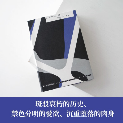[Nouveau authentique] Ning Shihai («L'héritier du nom de Milan Kundera» œuvre représentative de Baltis Attila, comparable au lauréat du prix Nobel Jelinek <Piano Teacher>) [Hongrie] Baltis Attila 9787547 ** 677 Yilin Publishing House