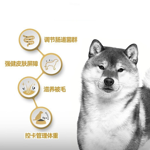 ROYAL CANIN Royal Dog Food SIA26 Shiba Inu Adult Dog Food Full Price Food Medium-sized Dog Adult Dog Healthy Skin and Coat Over 10 Months SIA26 Shiba Inu Adult Dog 3KG