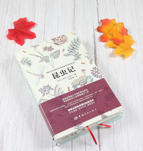 Tagebuch der Insekten (Kaufen Sie die vollständig übersetzte chinesische Version und erhalten Sie die französische Originalversion, ein Set mit 2 Bänden) Lesematerial für die Mittel- und Oberstufe