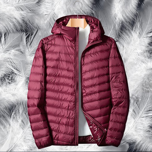 Woodpecker Lightweight Down Jacket Men's Short Winter Jacket Men's New Ultra-Light Casual Young and Middle-aged White Duck 16050 Black (Stand Collar) XL (140Jin Jin is equal to 0.5kg -160Jin Jin is equal to 0.5kg)