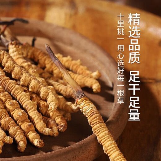 
Xina Tibet Qu high-altitude Cordyceps gift box 100 large cordyceps nourishing gift gifts for elders and parents Tibet Naqu Qu 2 1 gram 100 gift box