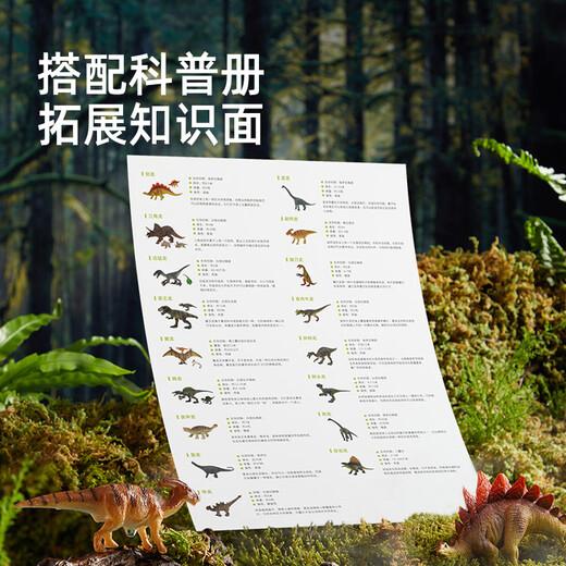 MiDeer (MiDeer) Children's Toy Simulation Animal Model Tyrannosaurus Rex Pterodes Boy Dinosaur Set-24 Pack Children's Gifts