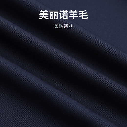 Goldlion Machine Washable Wool Autumn and Winter Jacket Men's Stand Collar Easy Care Executive Business Casual Jacket Navy-95 L 175/92A Recommended 135-150Jin Jin equals 0.5 kg