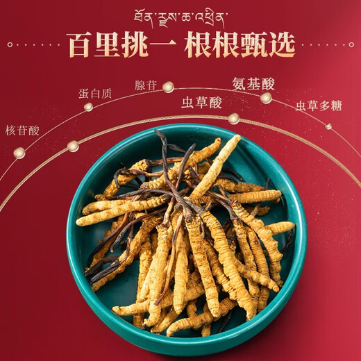[Tibet Straight Hair] Nagqu First Stubble Cordyceps Authentic High-altitude Dried Cordyceps Gift Boxes First Choice Selected Extra Large Grass 4 Roots/G 100 Roots