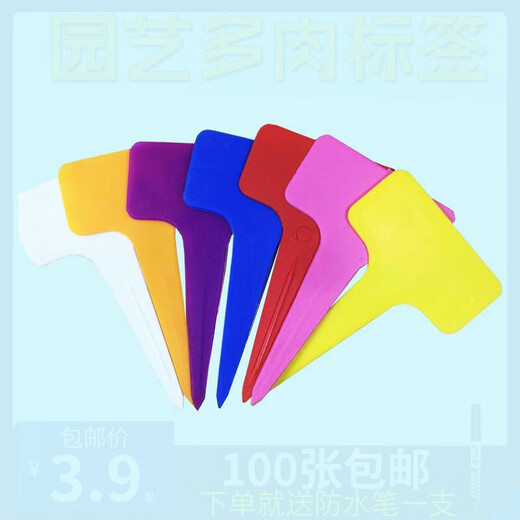 西普顿园艺多肉标签牌园艺植物花名花盆塑料标签防水小插牌多肉盆栽标签 深绿色200张送防水笔