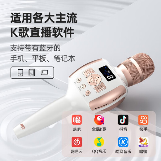 Meiniao karaoke microphone A2 microphone and audio integrated sound card wireless microphone national karaoke TV mobile phone singing live recording outdoor party karaoke A2 digital screen audio microphone pearl white karaoke/recording/live broadcast