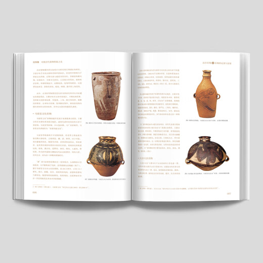 纹饰集 中国古代器物图案之美 中国经典器物纹样 古代器物纹饰溯源图典 彩陶青铜器瓷器 300余件珍贵文物 1300余幅纹 纹饰集