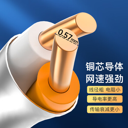 Akihabara (CHOSEAL) Category 6e double shielded network cable CAT6A 10G anti-interference and attenuation pure copper engineering home improvement network broadband cable orange 100 meters QS2669CT100