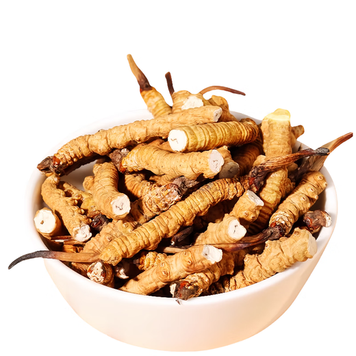 [Support-Qualitätsinspektion] 10 Gramm großer gebrochener Gras authentisch Cordyceps sinensis cordyceps sinensis cordyceps sinensis cordycep