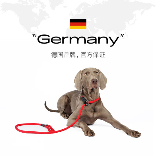 HUNTER imported from Germany, medium and large dog leash, thick explosion-proof dog rope, P rope, P chain dog chain, integrated dog training rope, off-white, 180cm long, 1.0cm in diameter (medium and large dogs)