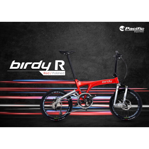 2022 new birdy bird bike BirdyR20 high speed 406 disc brake folding bicycle ScotchBrghtBlack brushed silver black standard model 20 inches