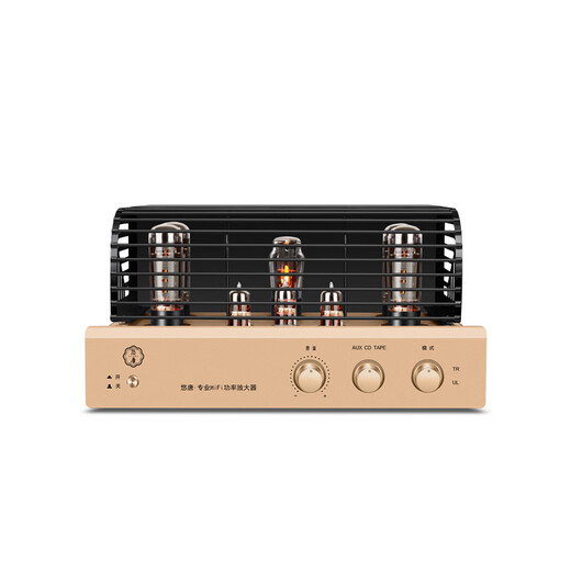 Youtang MK8700 Amplificador puro Amplificador Fiebre Grado Hifi Alta fidelidad Alta potencia