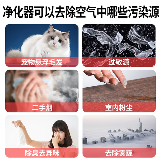 安德迈（admair）安德迈 除过敏源空气净化器吸附猫毛除臭宠物浮毛发除灰尘除异味P