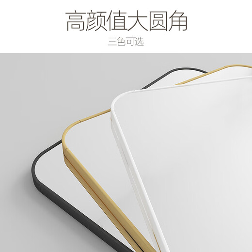 珍锦坊衣帽间全身穿衣镜子贴墙自粘家用壁挂式试衣镜挂墙入户玄关粘贴镜 经典黑 50*160【免打孔挂墙】